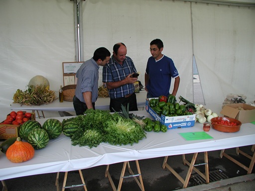 Feria Multisectorial